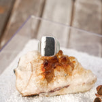 Ventana Ring in White Buffalo (Size 6) - Golden Road Crafted