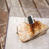 Ventana Ring in White Buffalo (Size 7) - Golden Road Crafted