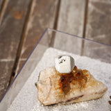 Ventana Ring in White Buffalo (Size 9) - Golden Road Crafted