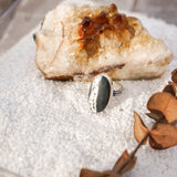 White Buffalo Ring (Size 7.5) - Golden Road Crafted