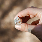 Wide - band Traveler Ring in Scenic Agate with Gold - Fill Prongs (Size 6.25) - Golden Road Crafted