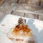 Wide - band Traveler Ring in Scenic Agate with Gold - Fill Prongs (Size 7.25) - Golden Road Crafted