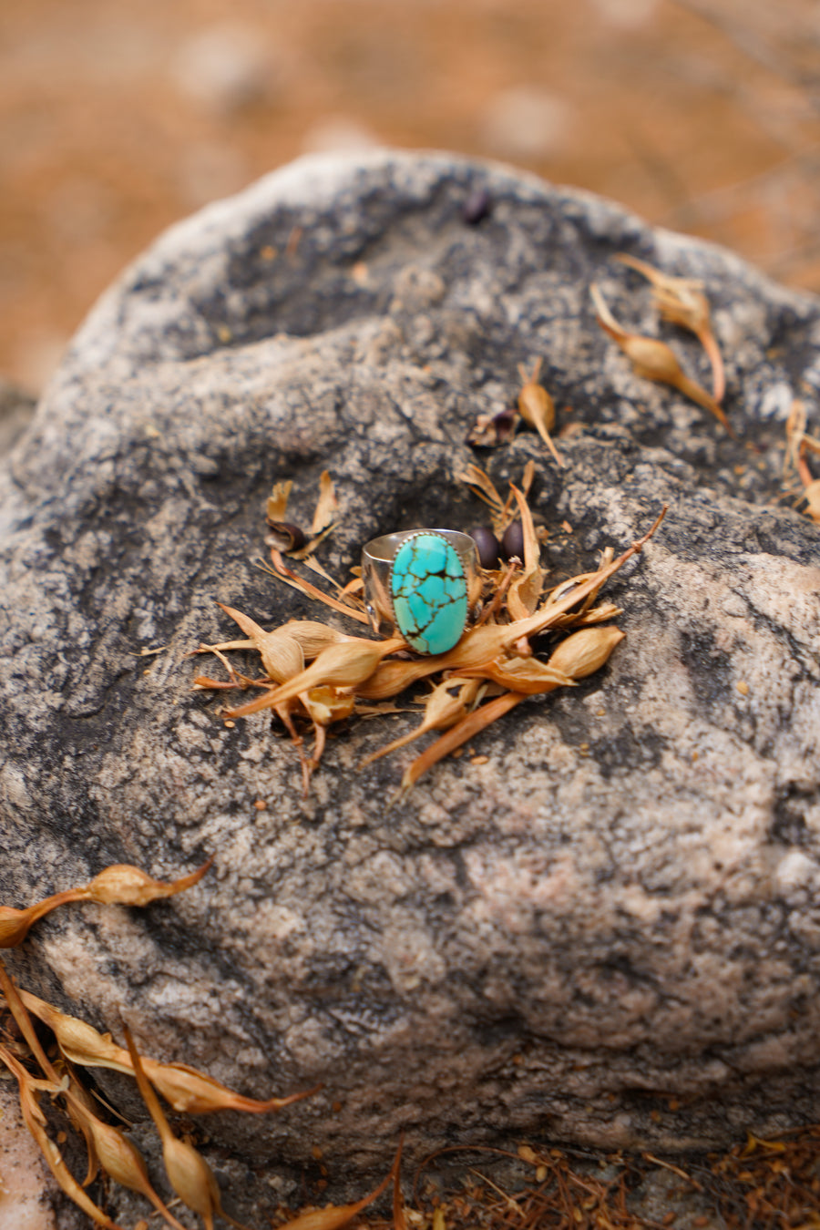 The Wide Band Traveler Ring in Yungi Turquoise (Size 6.5)