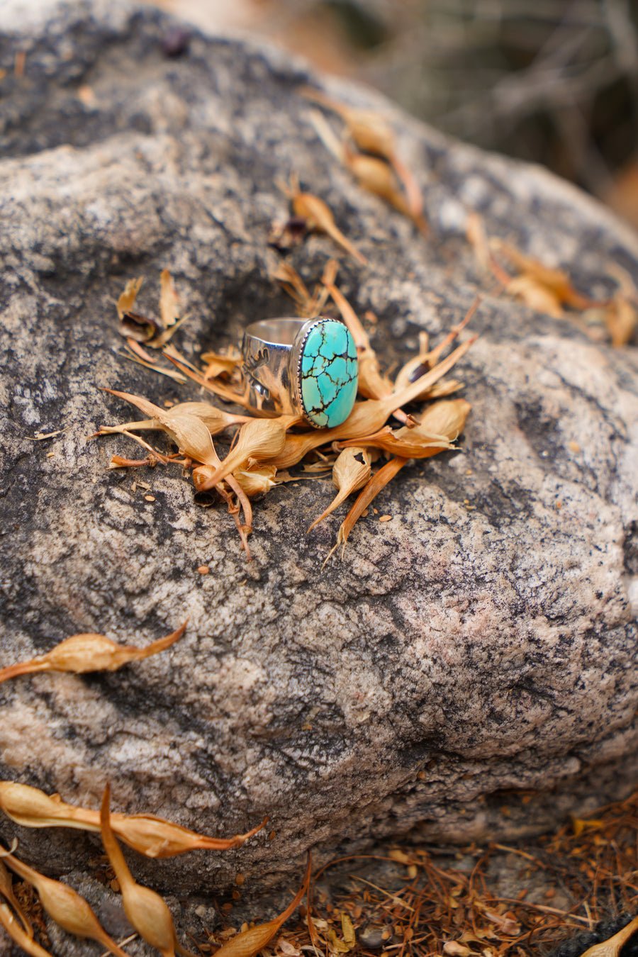 The Wide Band Traveler Ring in Yungi Turquoise (Size 6.5)