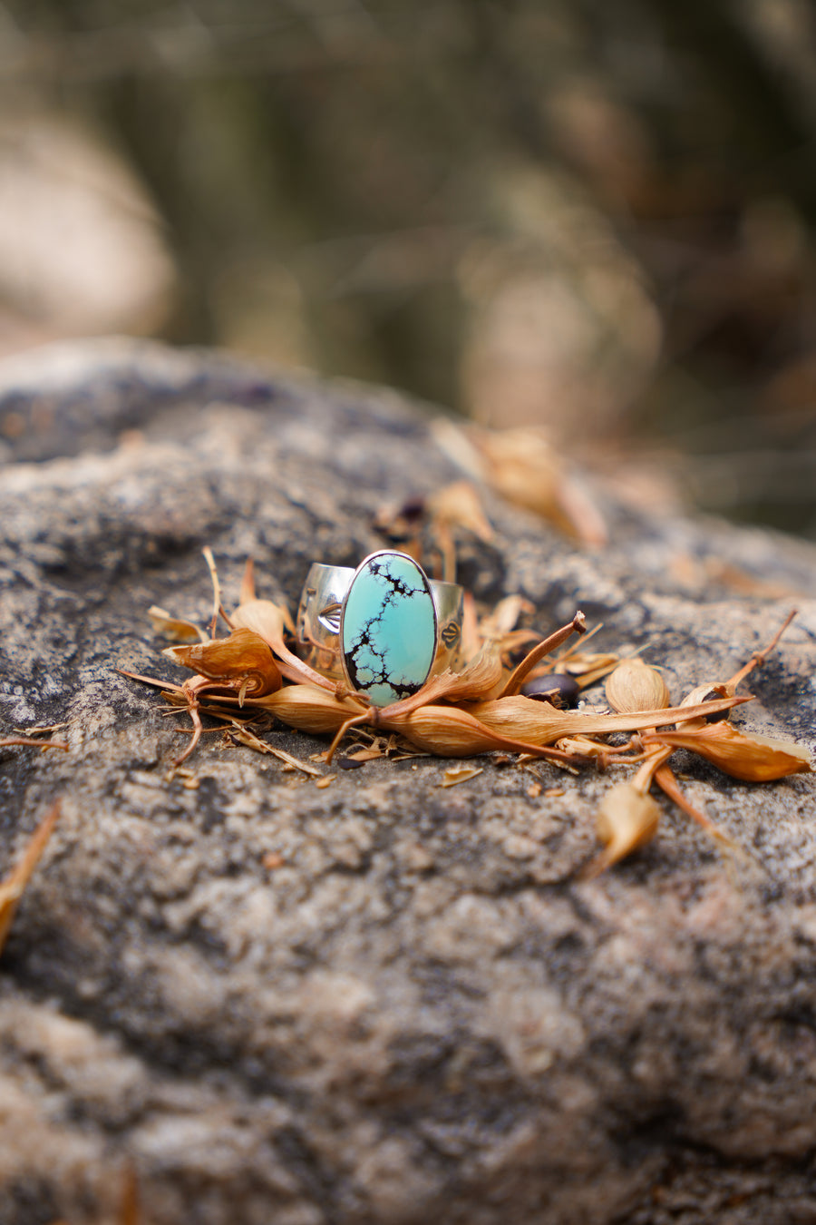 The Wide Band Traveler Ring in Yungi Turquoise (Size 7.5)