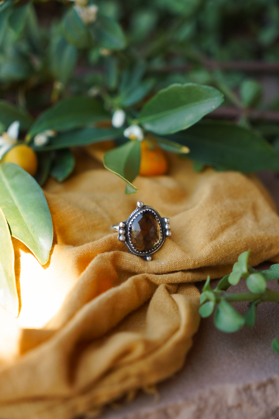 The Nova Ring in Honey Quartz (size 7.75)