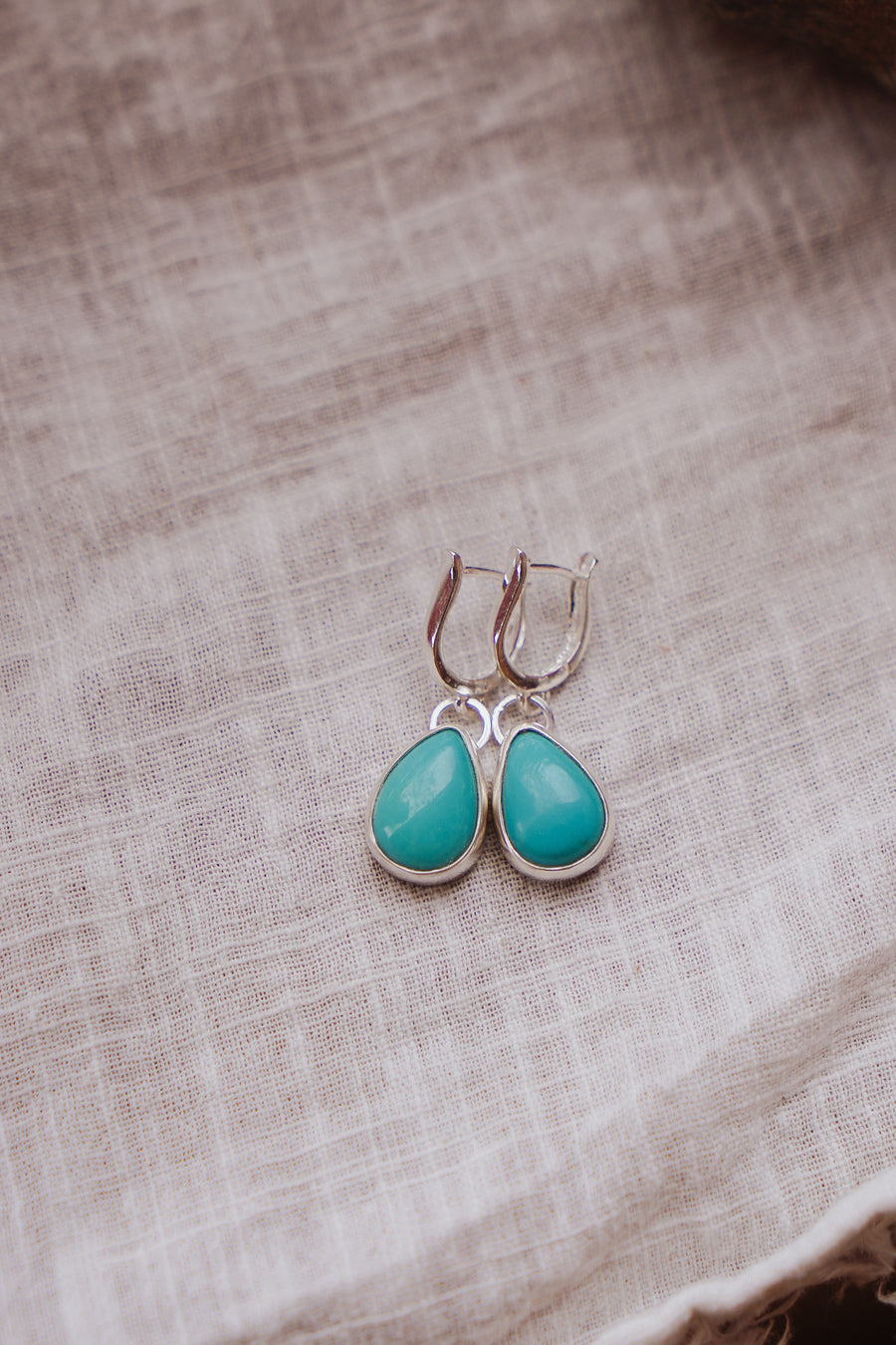 Horseshoe Drop Earrings in Tyrone Turquoise