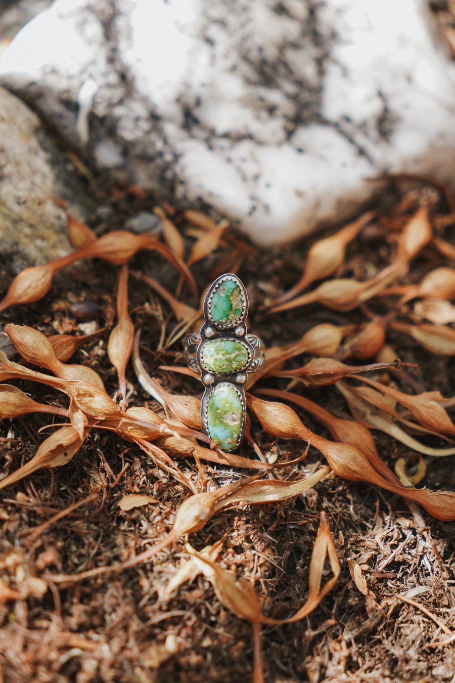 Cairn  Ring in Sonoran Gold Turquoise (Size 6.5)
