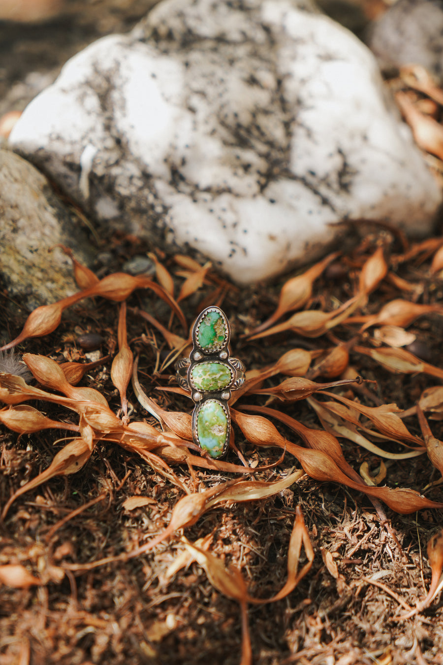 Cairn  Ring in Sonoran Gold Turquoise (Size 6.5)