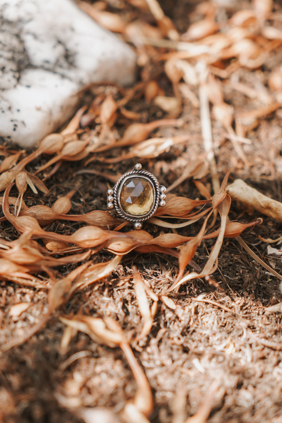 The Nova Ring in Honey Quartz Ring (Size 6)
